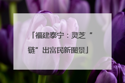 福建泰宁：灵芝“链”出富民新图景