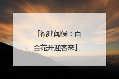 福建闽侯：百合花开迎客来