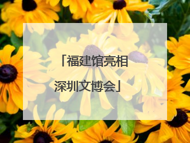 福建馆亮相深圳文博会