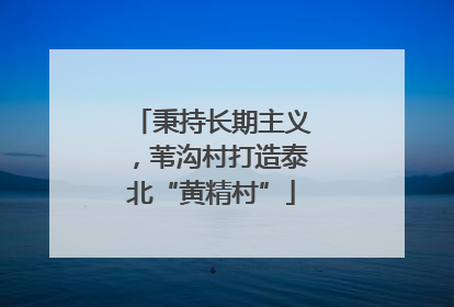 秉持长期主义，苇沟村打造泰北“黄精村”
