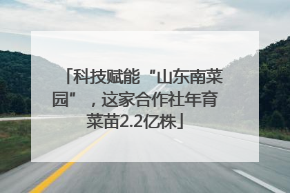 科技赋能“山东南菜园”，这家合作社年育菜苗2.2亿株