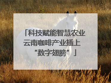 科技赋能智慧农业 云南咖啡产业插上“数字翅膀”