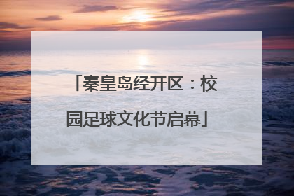 秦皇岛经开区：校园足球文化节启幕
