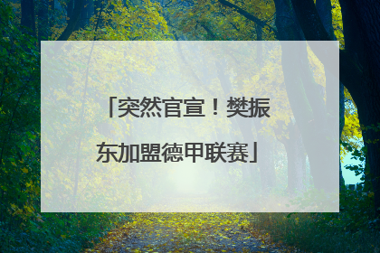 突然官宣！樊振东加盟德甲联赛