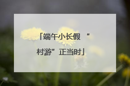 端午小长假 “村游”正当时