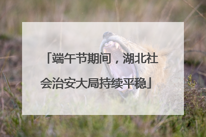端午节期间，湖北社会治安大局持续平稳
