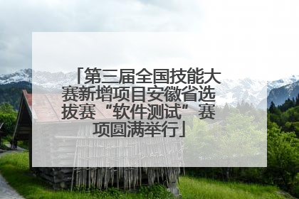 第三届全国技能大赛新增项目安徽省选拔赛“软件测试”赛项圆满举行