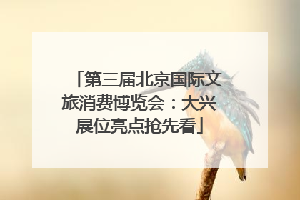 第三届北京国际文旅消费博览会：大兴展位亮点抢先看