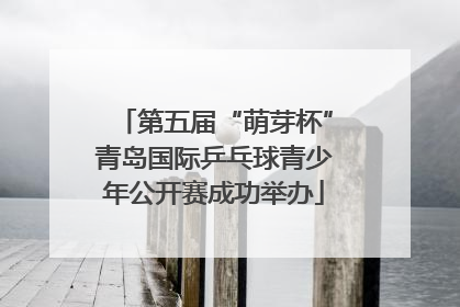 第五届“萌芽杯”青岛国际乒乓球青少年公开赛成功举办