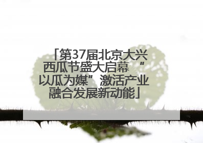 第37届北京大兴西瓜节盛大启幕 “以瓜为媒”激活产业融合发展新动能