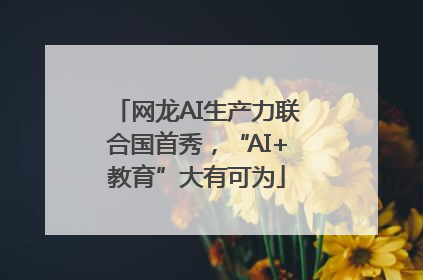 网龙AI生产力联合国首秀，“AI+教育”大有可为