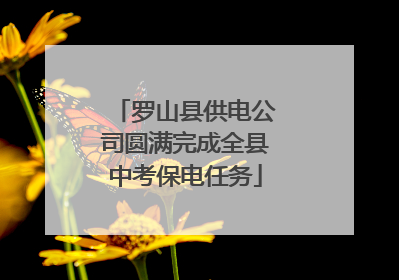 罗山县供电公司圆满完成全县中考保电任务
