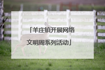 羊庄镇开展网络文明周系列活动
