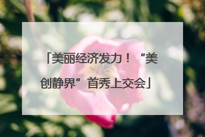 美丽经济发力！“美创静界”首秀上交会