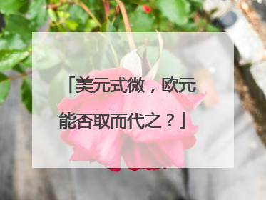美元式微，欧元能否取而代之？