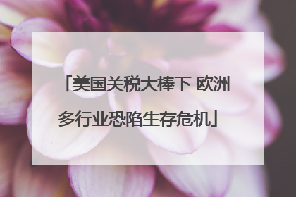 美国关税大棒下 欧洲多行业恐陷生存危机
