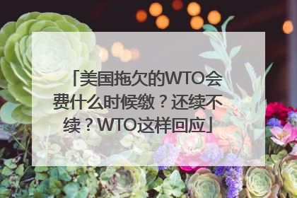 美国拖欠的WTO会费什么时候缴？还续不续？WTO这样回应