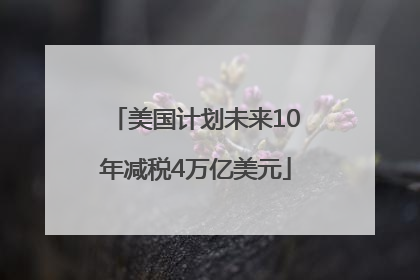 美国计划未来10年减税4万亿美元