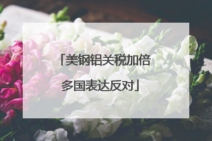 美钢铝关税加倍 多国表达反对
