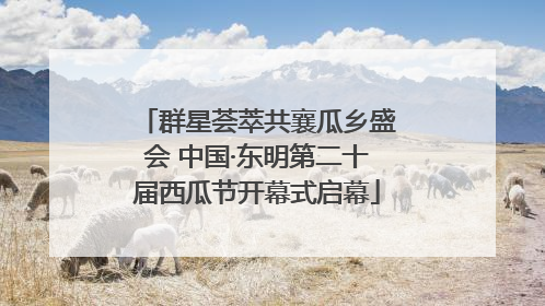 群星荟萃共襄瓜乡盛会 中国·东明第二十届西瓜节开幕式启幕