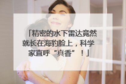 精密的水下雷达竟然就长在海豹脸上，科学家直呼“真香”！