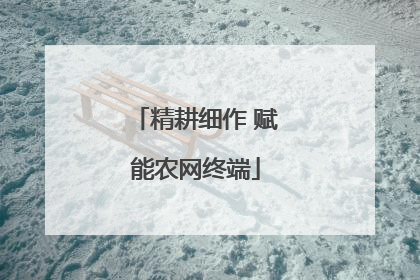 精耕细作 赋能农网终端