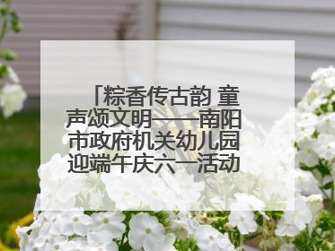粽香传古韵 童声颂文明——南阳市政府机关幼儿园迎端午庆六一活动丰富多彩