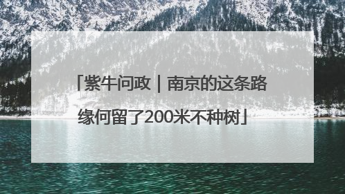 紫牛问政｜南京的这条路缘何留了200米不种树