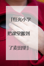 红光小学把课堂搬到了麦田里