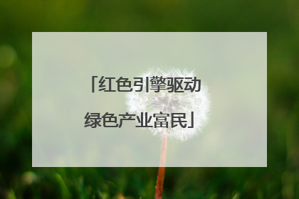 红色引擎驱动 绿色产业富民