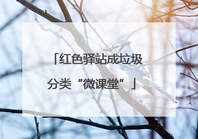 红色驿站成垃圾分类“微课堂”