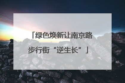 绿色焕新让南京路步行街“逆生长”