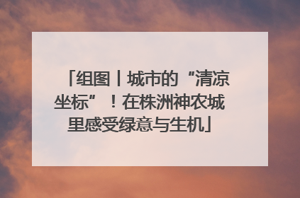 组图丨城市的“清凉坐标”！在株洲神农城里感受绿意与生机