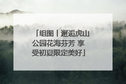 组图丨邂逅虎山公园花海芬芳 享受初夏限定美好