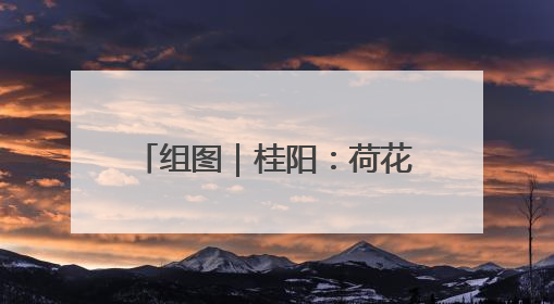 组图｜桂阳：荷花悄然绽放 碧波荷叶绘就美好夏日画卷