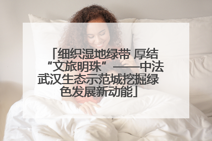 细织湿地绿带 厚结“文旅明珠”——中法武汉生态示范城挖掘绿色发展新动能