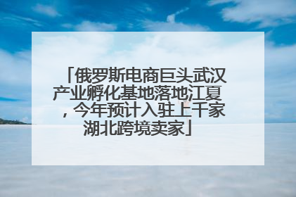 俄罗斯电商巨头武汉产业孵化基地落地江夏，今年预计入驻上千家湖北跨境卖家