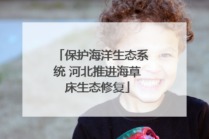 保护海洋生态系统 河北推进海草床生态修复