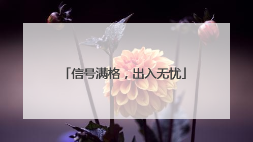 信号满格，出入无忧