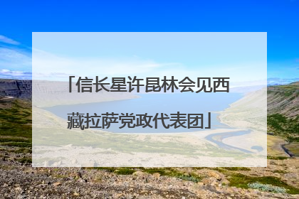 信长星许昆林会见西藏拉萨党政代表团