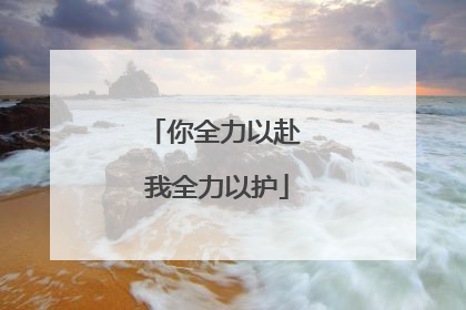 你全力以赴 我全力以护