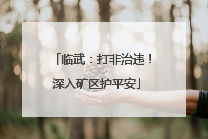 临武：打非治违！深入矿区护平安