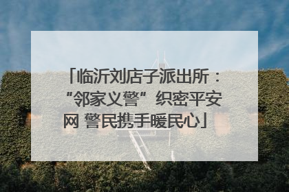 临沂刘店子派出所：“邻家义警”织密平安网 警民携手暖民心