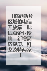 临港新片区增值电信开放第二批试点企业授牌：新增高济健康、科戈波特两家