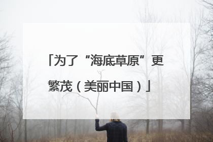 为了“海底草原”更繁茂（美丽中国）