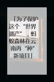 为了保护这个“世界遗产”，蚂蚁森林在云南再“种”新项目