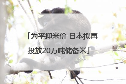 为平抑米价 日本拟再投放20万吨储备米