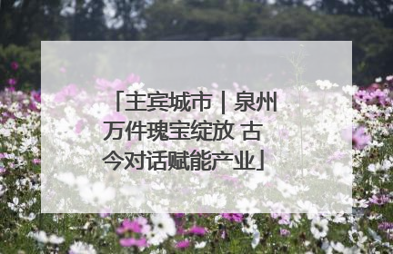 主宾城市｜泉州万件瑰宝绽放 古今对话赋能产业