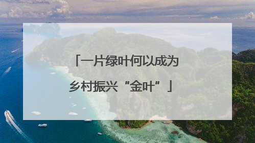 一片绿叶何以成为乡村振兴“金叶”