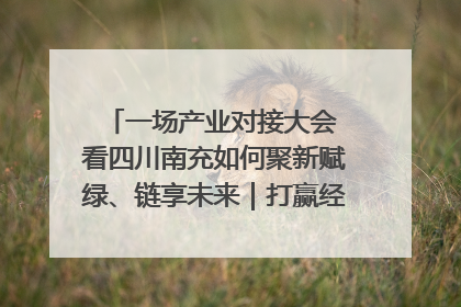 一场产业对接大会 看四川南充如何聚新赋绿、链享未来｜打赢经济发展翻身仗